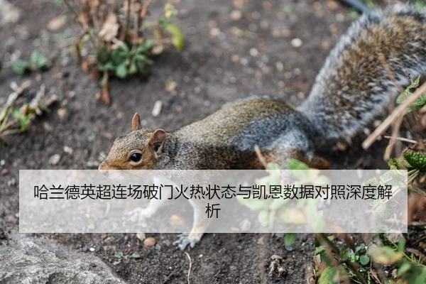 哈兰德英超连场破门火热状态与凯恩数据对照深度解析